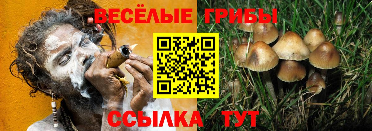 Нижневартовск  Псилоцибиновые грибы Psilocybine cubensis  Вход с VPN 